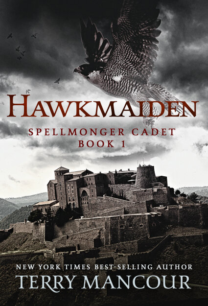 Cover of Hawkmaiden