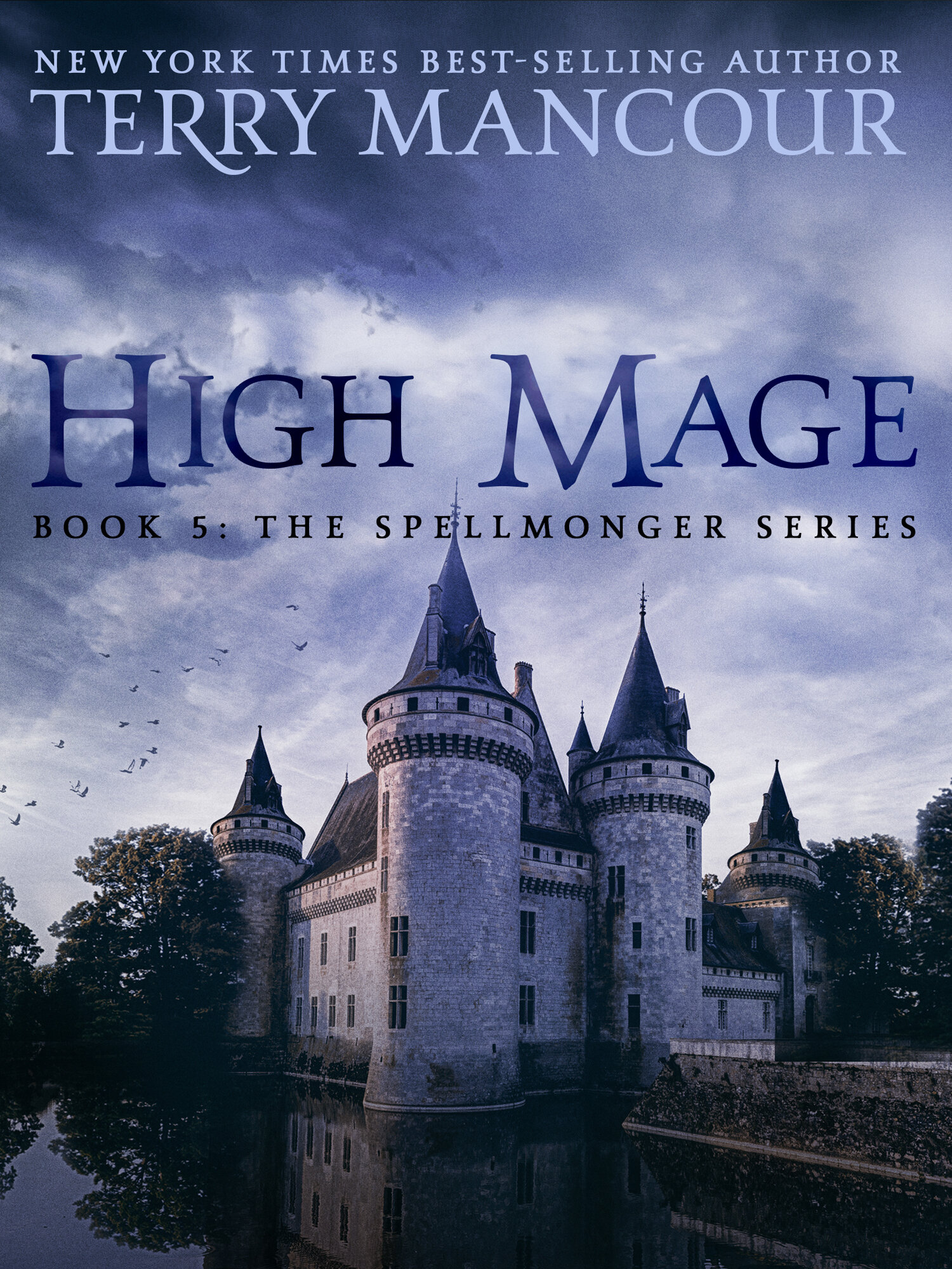 Cover of High Mage
