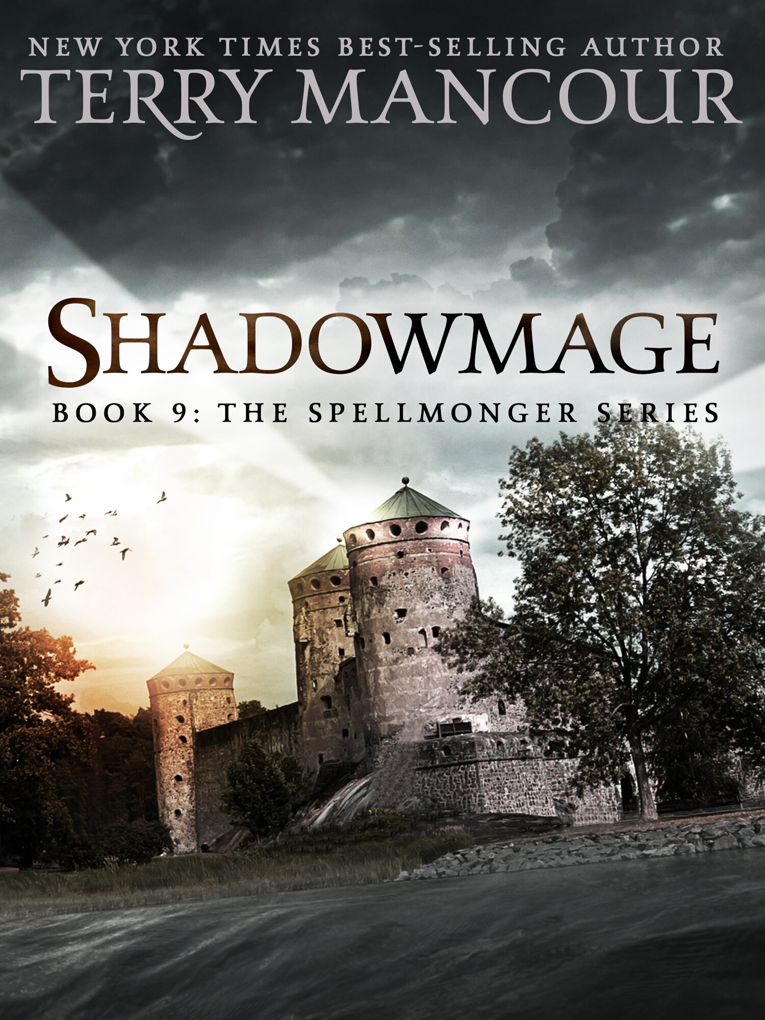 Cover of Shadowmage