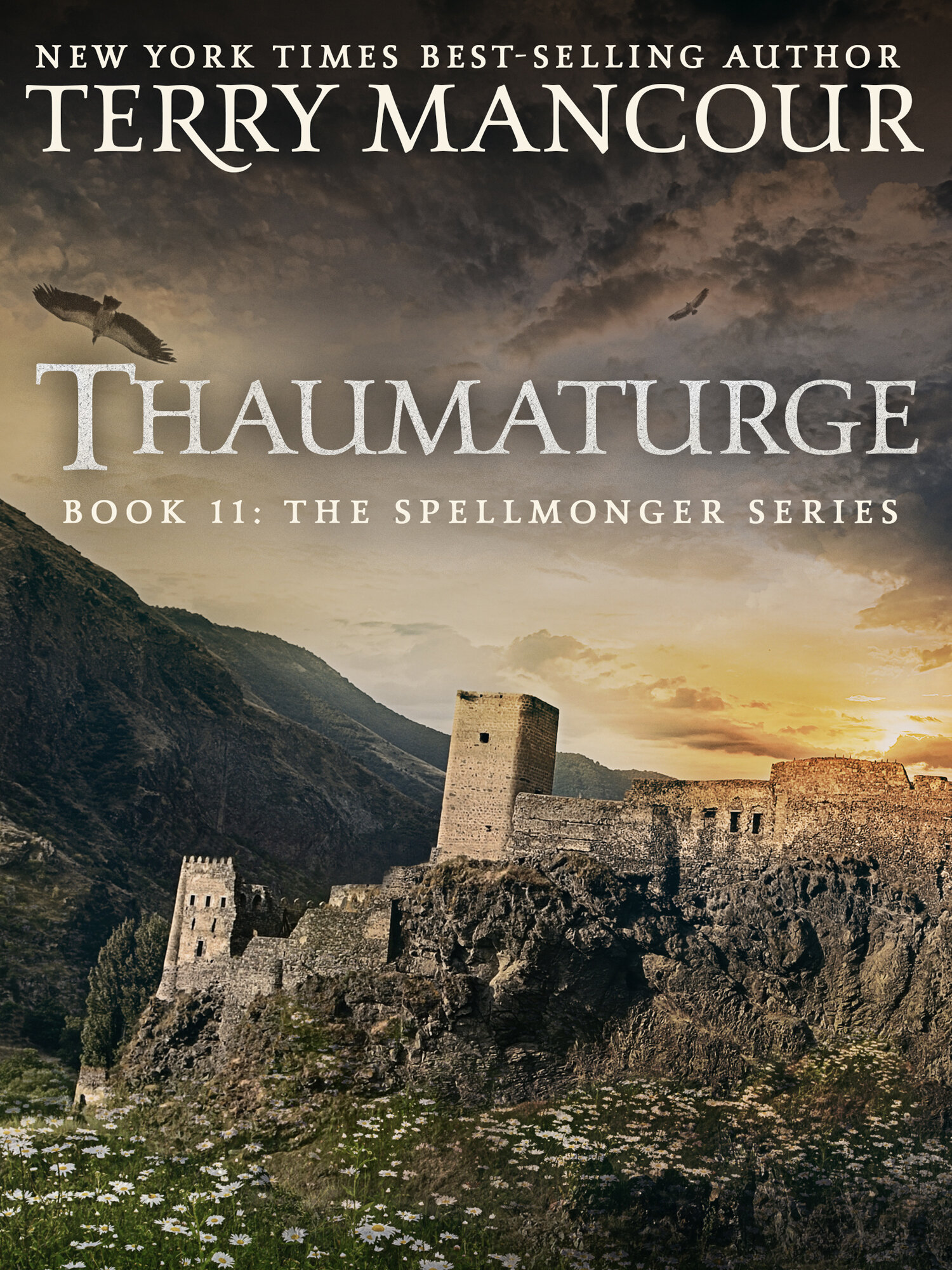 Cover of Thaumaturge