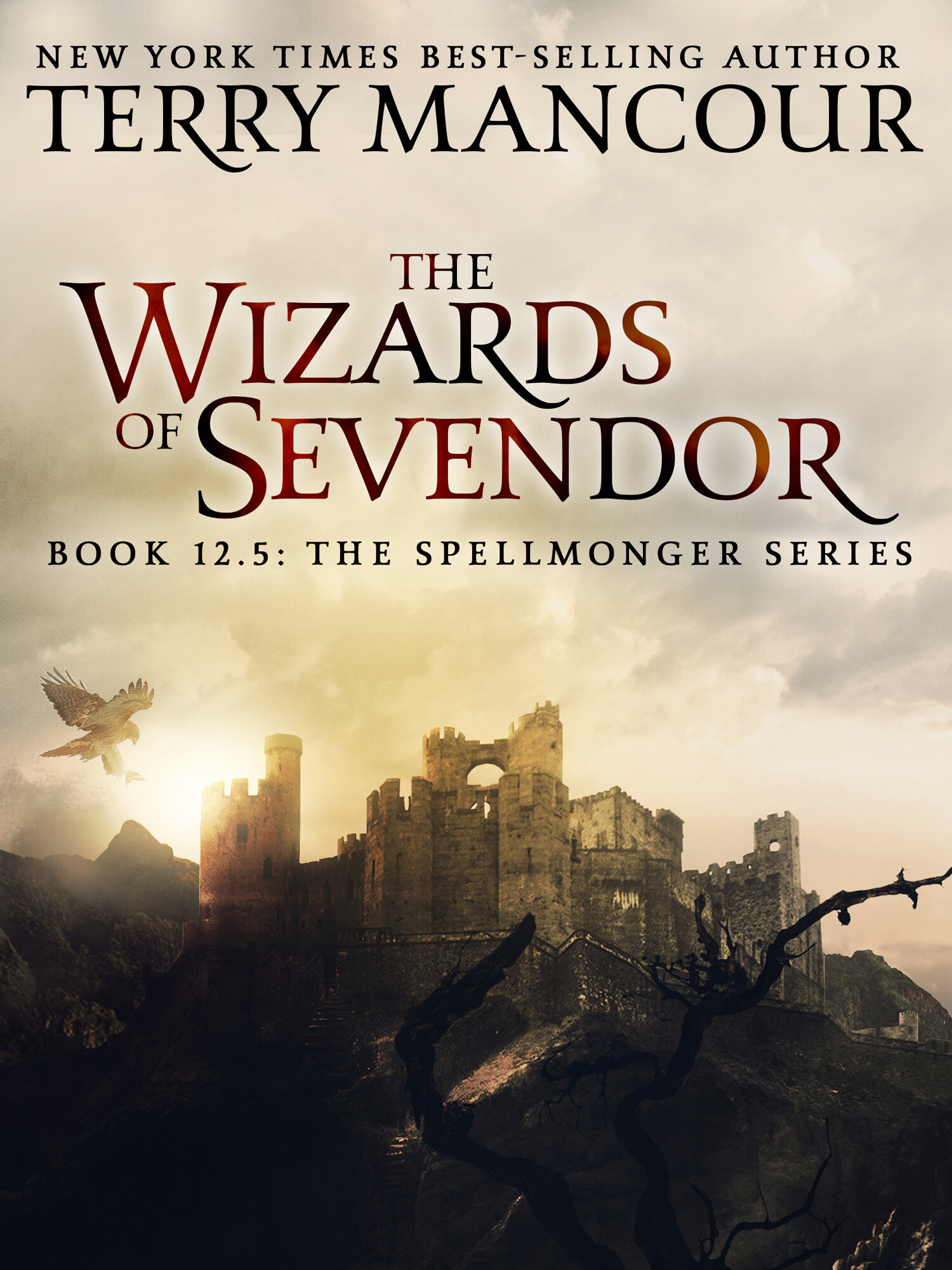 Cover of The Wizards of Sevendor